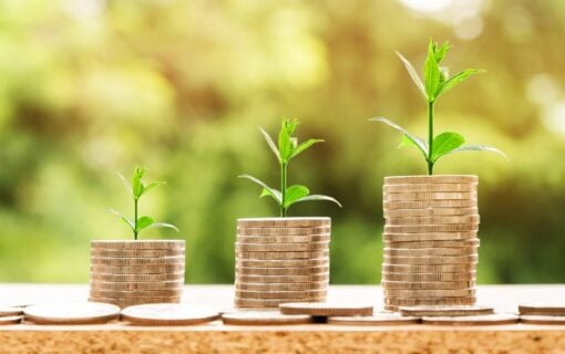 piles of coins with seedlings on top