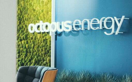A blue and green office wall with the octopus energy logo mounted on it