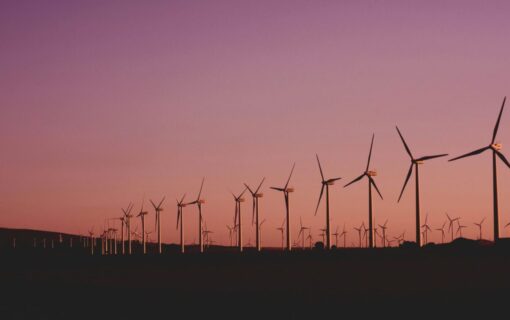A long line of wind turbines at sunset