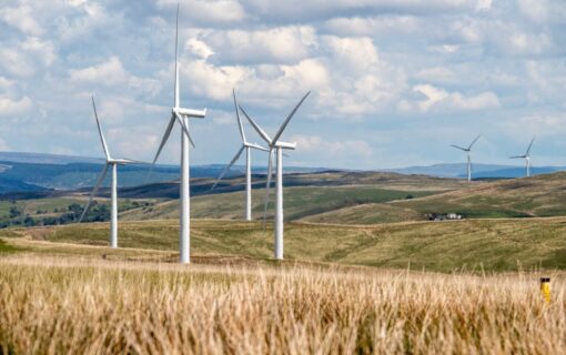 Wind turbines in a yellow grassy field