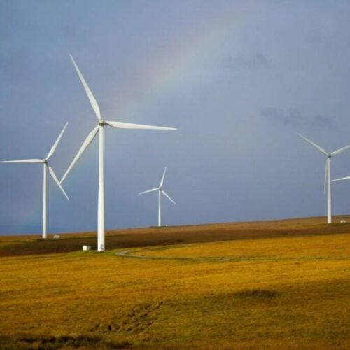wind turbines below a rainbow