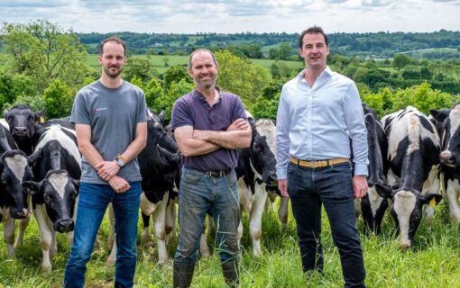 Three white men stand in a green field with cows behind them.